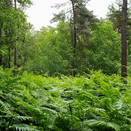 Defcamp - Experience Nature - En Voiture - Rixansart - By La Conciergerie *